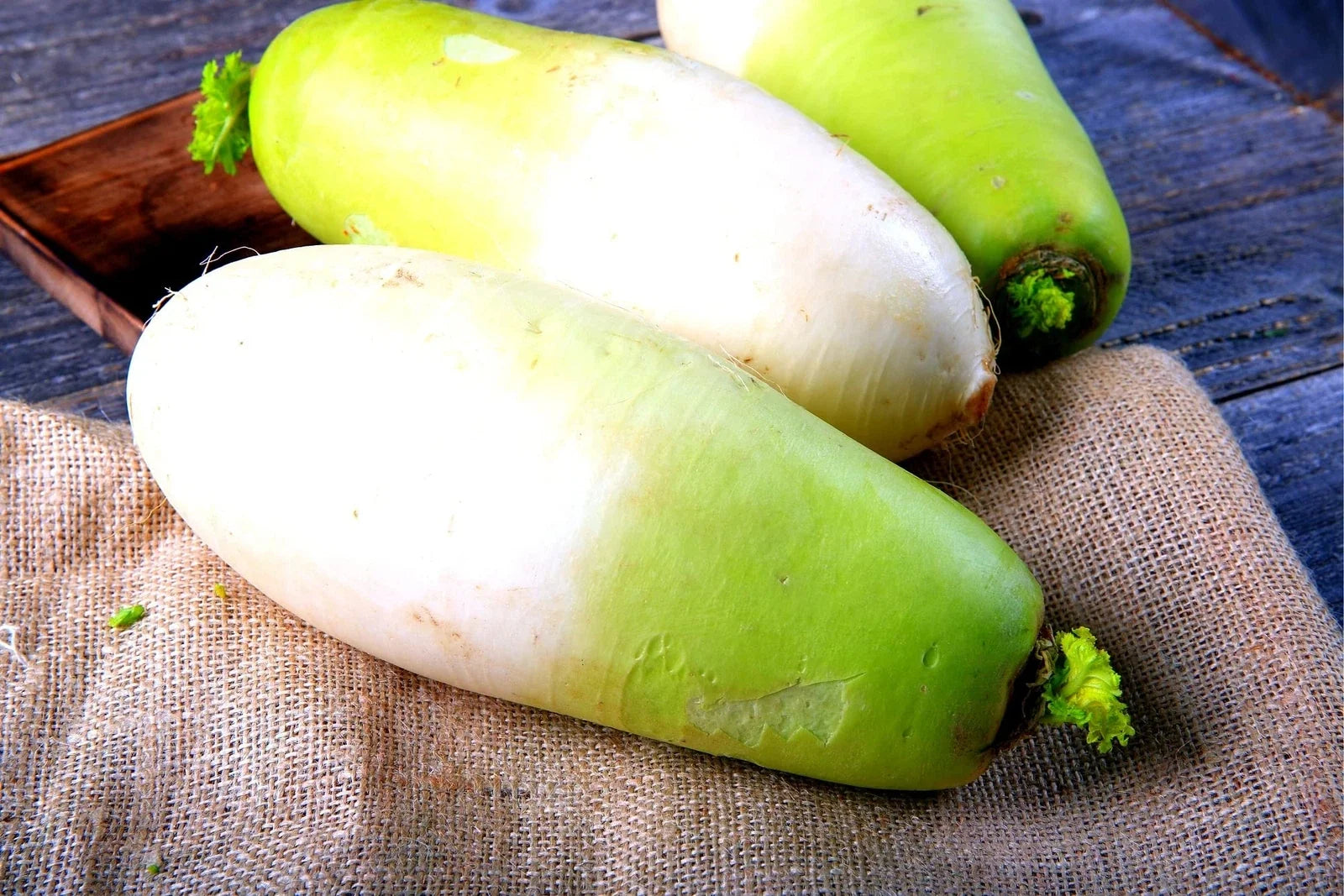 Korean Radish Seeds - 100+ Seeds - Raphanus sativus var. longipinnatus - Fast-Growing, Crisp, Vegetable Seeds