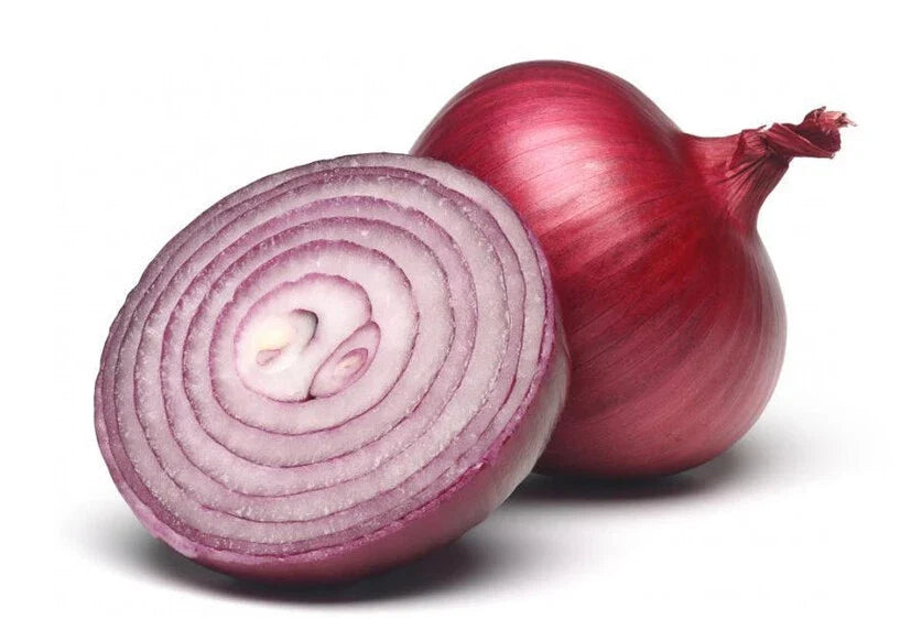 Red Burgundy Onion Seeds – 200+ Allium cepa Vegetable Seeds for Home Garden, Non-GMO, Heirloom, Fresh, USA Grown