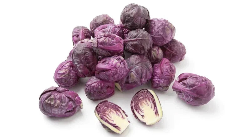 Redarling Brussels Sprouts Seeds – Non-GMO Vegetable Seeds for Home Garden Planting – Brassica oleracea var. gemmifera