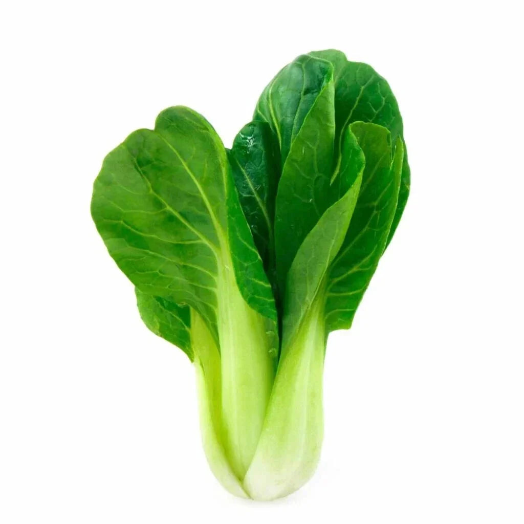 Bok Choy Seeds – 500+ Brassica rapa Chinese Cabbage for Garden Planting, Non-GMO, Fast-Growing Vegetables