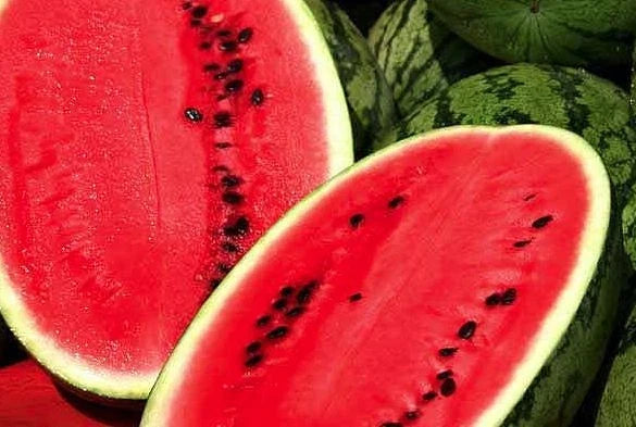 Allsweet Watermelon Seeds - Heirloom Citrullus lanatus Pack for Juicy, Sweet Watermelons in Summer Gardens