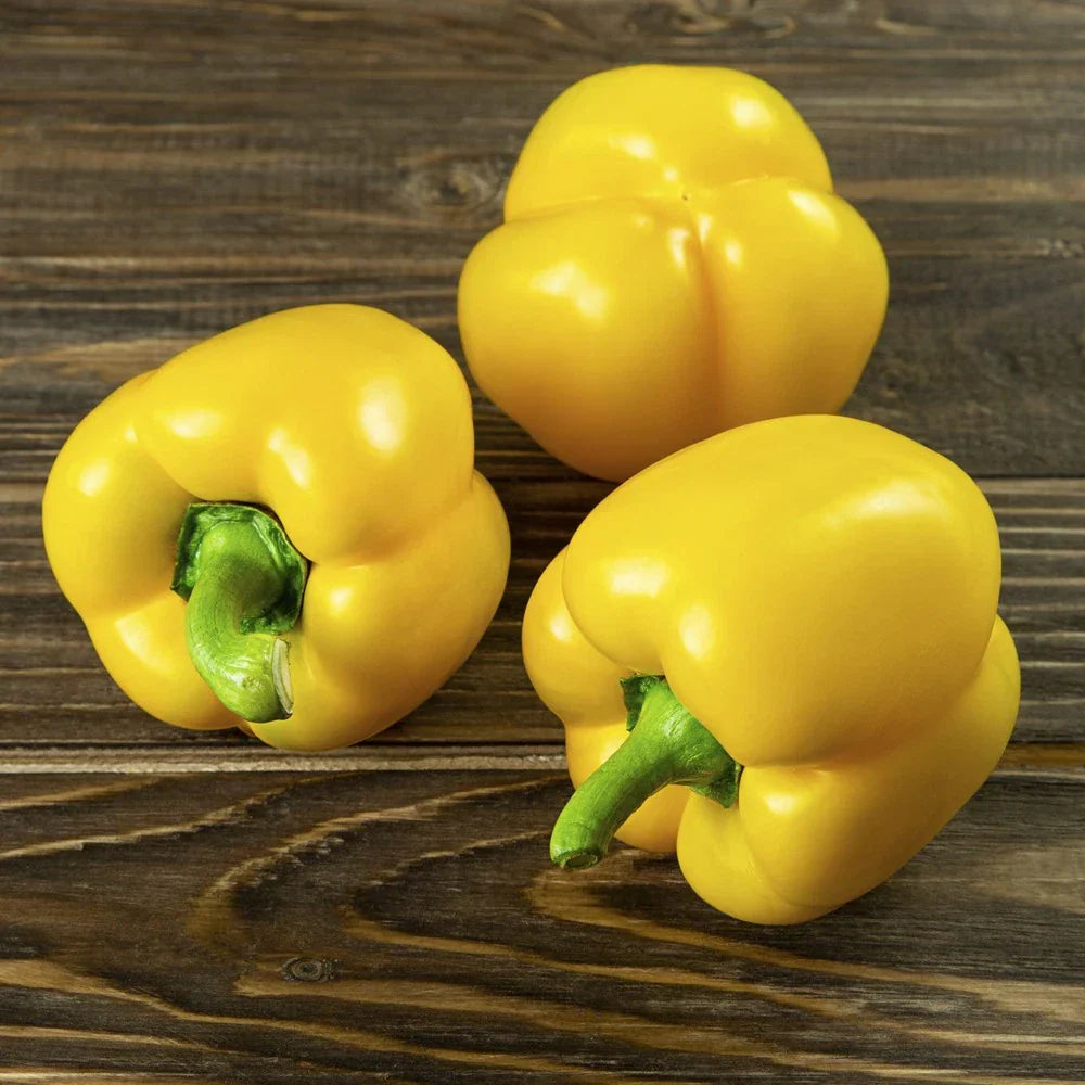 Mini Yellow Bell Pepper Seeds - Organic Non-GMO - 50+ Rare Capsicum annuum Seeds