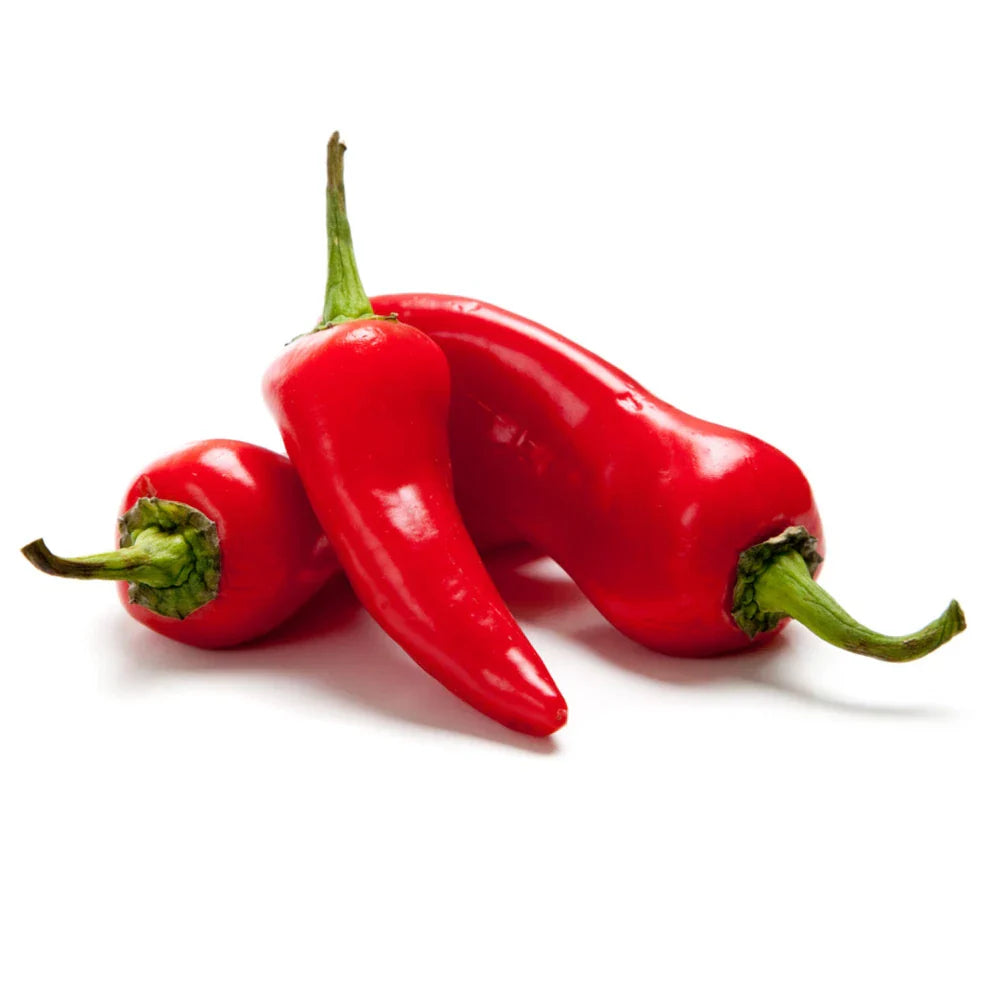 Fresno Hot Pepper Seeds | Non-GMO Capsicum annuum | Fresh Garden Seeds
