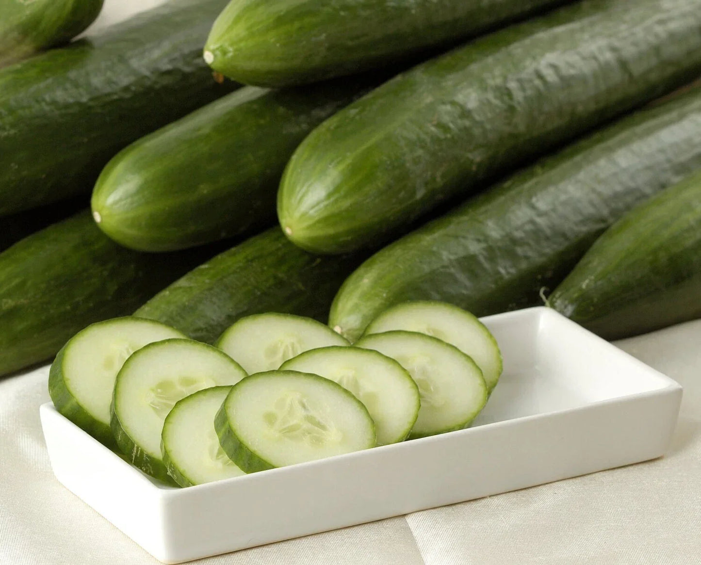 Heirloom Ashley Long Cucumber Seeds - 10+ Non-GMO Organic Cucumis sativus