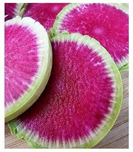 Watermelon Radish Seeds for Planting - 250+ Raphanus sativus Exotic Vegetable Seeds