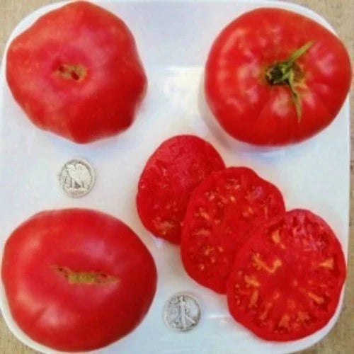 Beefsteak Tomato Seeds - Pruden's Purple Variety - 25 Count