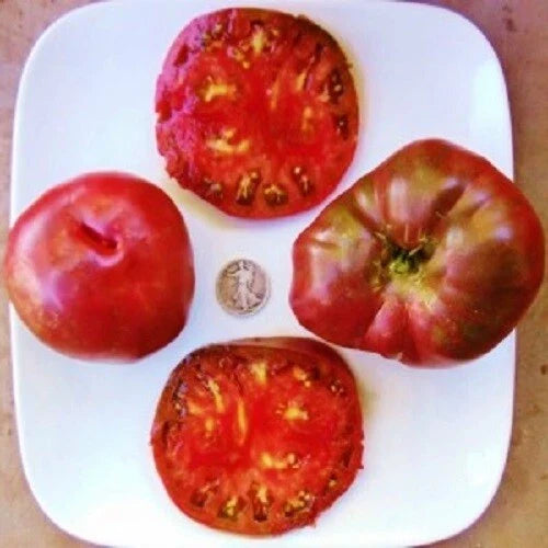 Black From Tula Heirloom Tomato Seeds – Russian Beefsteak Variety, Dark Color, Large Fruits, Organic, for Home Garden & Containers