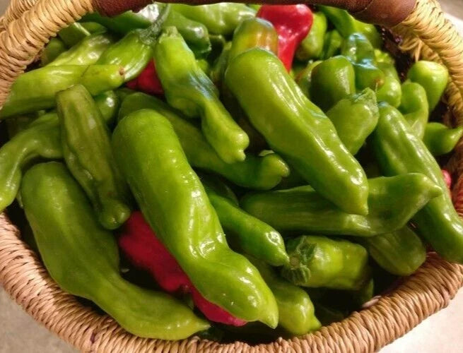 Italian Pepperoncini Seeds - 25 Premium Capsicum annuum for Home Garden, Mild Tangy Peppers, Easy to Grow, Fresh Harvested Seed Pack