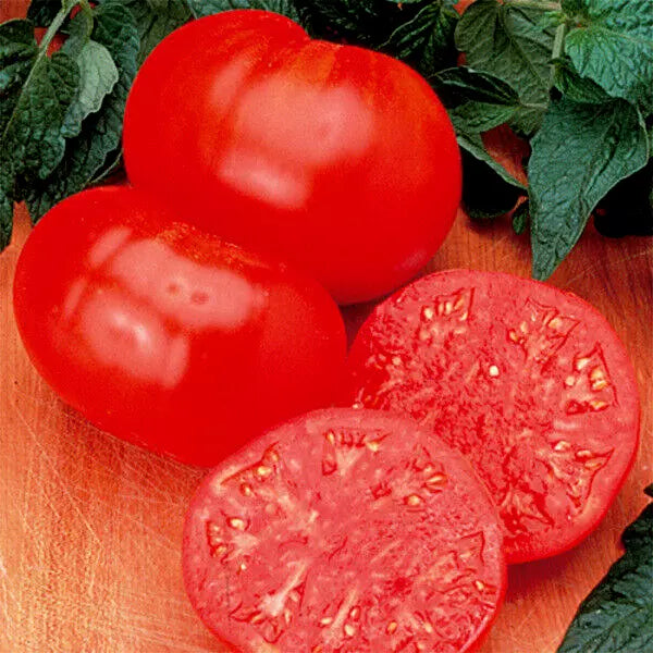 Tomato Seeds Watermelon Beefsteak - 35 Seeds - 1-2 lb Fruit - GroCo USA