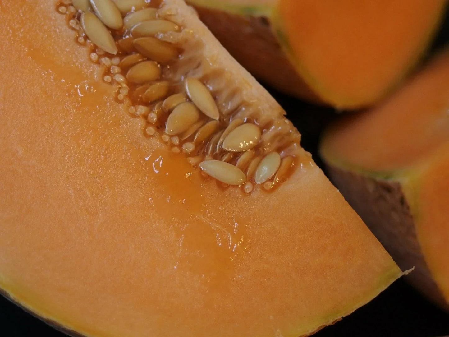 Organic Midget Melon Cantaloupe Seeds 300+ Count - Fast Growing Sweet Cucumis melo