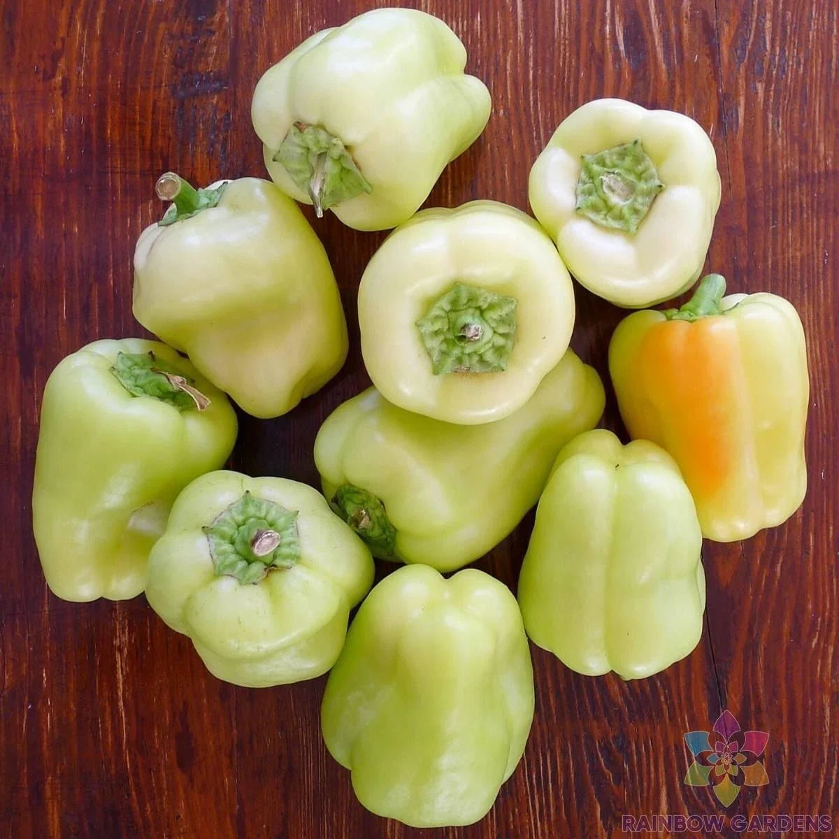 White Bell Sweet Pepper Seeds – Capsicum annuum – Non-GMO, Full Sun, 25+ Seeds for Garden & Container Growing