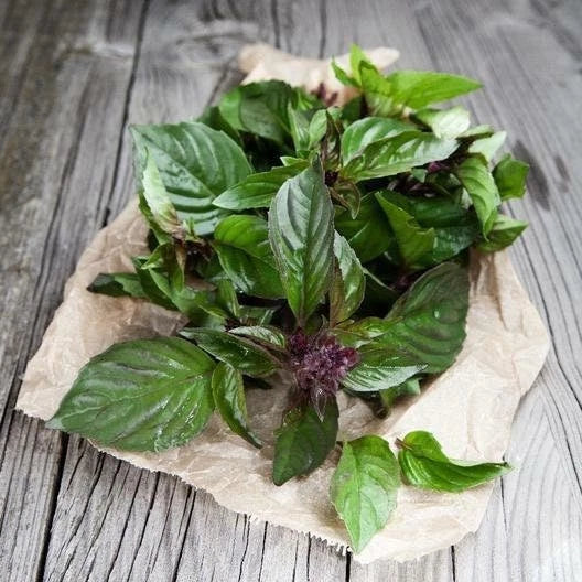 Thai Basil Seeds Non-GMO Herb Seeds for Gardening - Ocimum Basilicum, Culinary & Aromatic, Indoor & Outdoor Planting