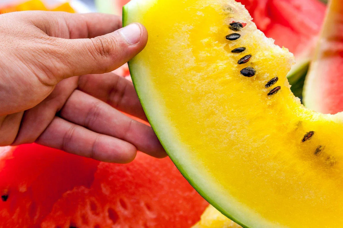 Moon and Stars Watermelon Seeds - 20+ Non-GMO Heirloom Yellow Flesh