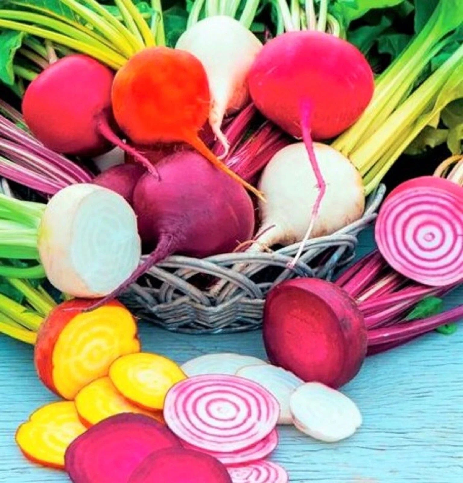 Rainbow Blend Beet Seeds - Non-GMO Assorted Colors, 100+ Beta vulgaris Seeds for Garden, Salad, and Cooking
