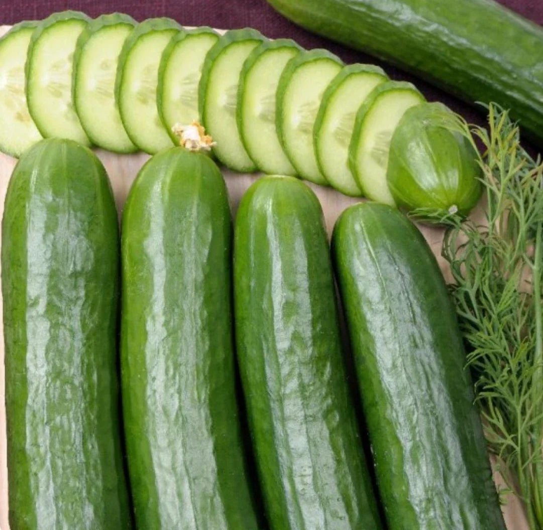 Cucumber Seeds 300 Count | Straight Eight Heirloom Vegetable | Crisp, Long Cucumbers | Cucumis sativus