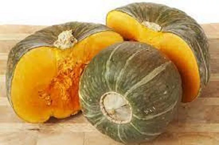 Premium Buttercup Winter Squash Seeds – Heirloom Cucurbita maxima for Storage & Flavor, Pack of 20