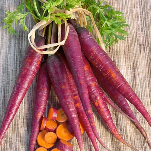 Cosmic Purple Carrot Seeds - Heirloom Non-GMO Organic Vegetable Seeds - Daucus carota