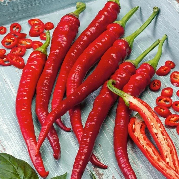 Cayenne Hot Pepper Seeds - Organic Heirloom Non-GMO - Spicy Long Slim Variety - Capsicum annuum - 100+ Seeds
