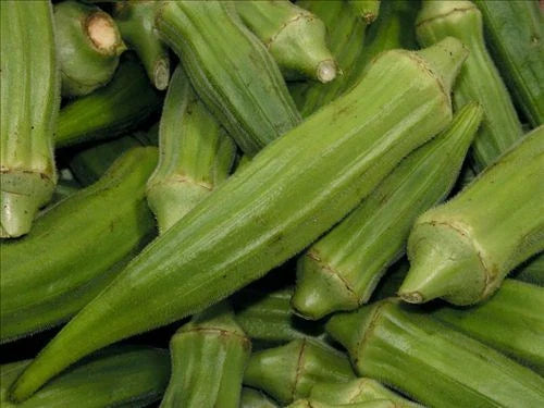 Jade Okra Seeds - Non-GMO Heirloom Abelmoschus esculentus - Fresh Gardening Seeds