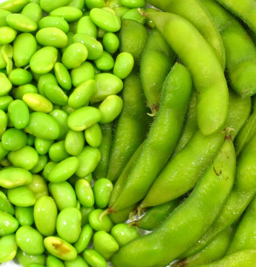 Edamame Soybean Seeds Pack of 10 Glycine max Asian Vegetable Non-GMO for Home Garden, Container, or Raised Bed