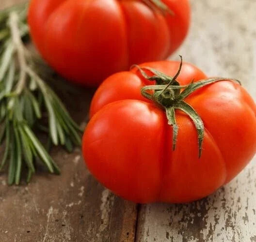 Heirloom Beefsteak Red Tomato Seeds - 25 Premium Solanum lycopersicum for Home Gardening, Salad & Sauce