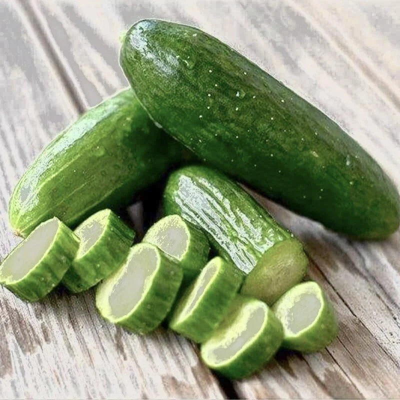 Beit Alpha Cucumber Seeds - 30+ Non-GMO, High Yield, Disease-Resistant Cucumis sativus for Salad, Pickling, and Fresh Snacking