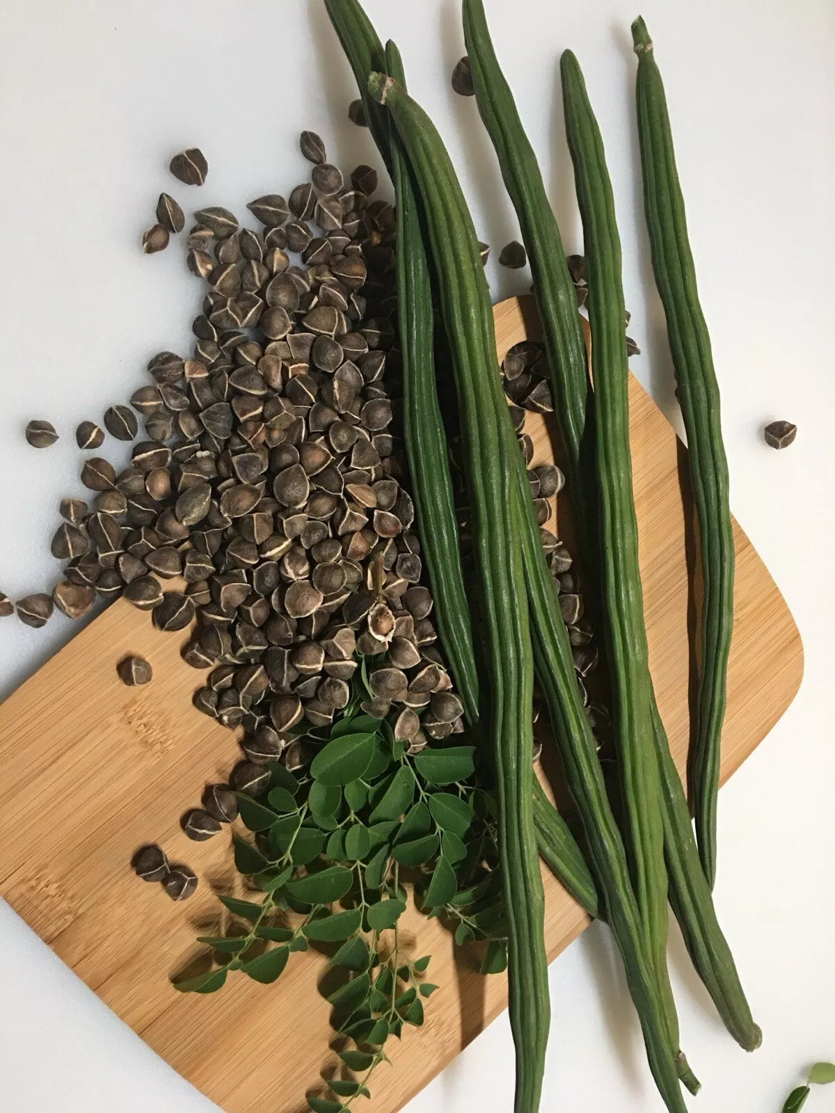 Organic Moringa Oleifera Seeds - Non-GMO Drumstick Malunggay Seeds for Home Garden, Fast-Growing, Nutrient-Rich Plant