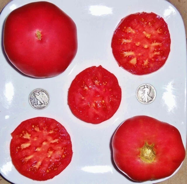 German Pink Tomato Seeds - Pack of 25 Heirloom Solanum lycopersicum for Garden & Container Planting