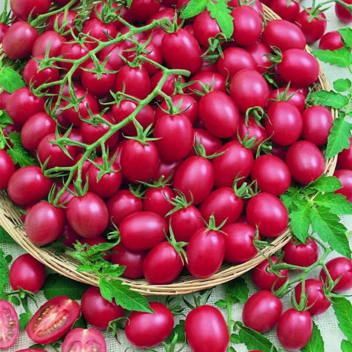 200pcs Organic Heirloom Pink Grape Cherry Tomato Seeds – Non-GMO, Solanum lycopersicum for Home Garden & Containers