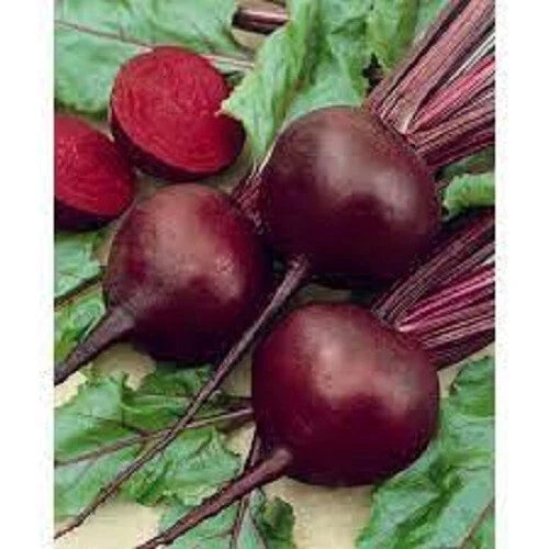 Organic Heirloom Detroit Red Beet Seeds - Non-GMO, High Germination, Home Garden, Beta vulgaris var. conditiva