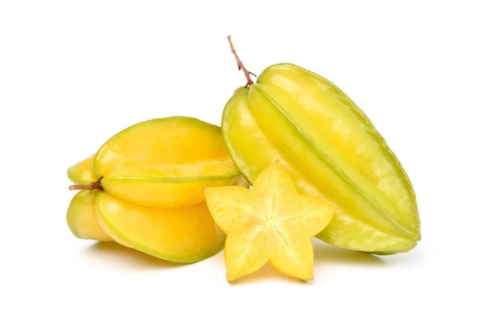 Starfruit Seeds for Planting - 2 Wet Seeds - Averrhoa carambola Tropical Fruit Tree
