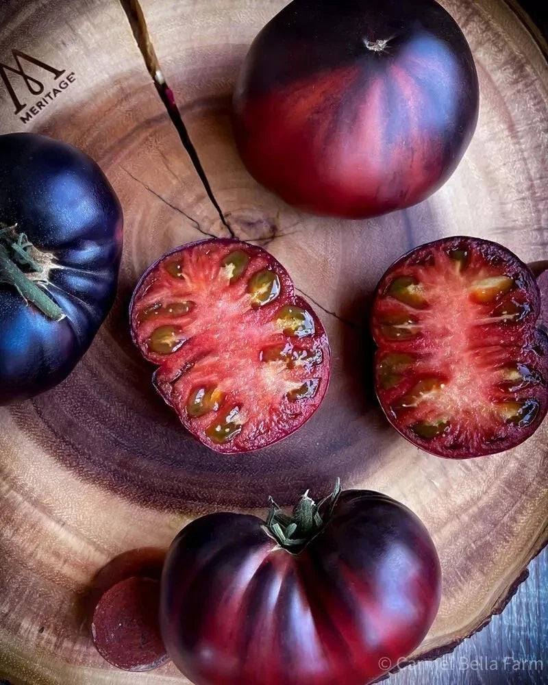 Black Beauty Tomato Seeds - Organic Heirloom - 120+ Seeds - Solanum lycopersicum - Heirloom, Disease-Resistant, Full Sun