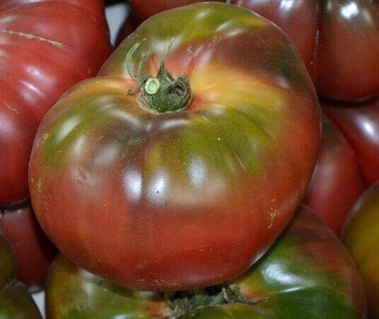 Black Krim Tomato Seeds - 50+ Indeterminate Heirloom Solanum lycopersicum for Garden Vegetables