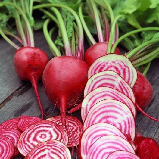 Chioggia Beet Seeds - 200 Non-GMO Heirloom Beta vulgaris for Garden & Container Planting