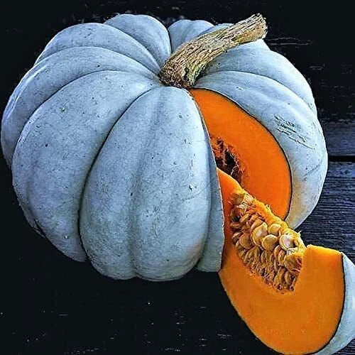 Exotic Blue Pumpkin Seeds Packet | Blue Jarrahdale Variety | Cucurbita maxima | Edible & Ornamental
