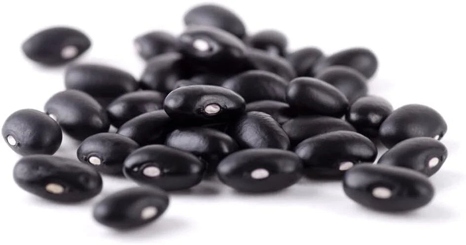 Cherokee Trail of Tears Bean Seeds - Heirloom Phaseolus vulgaris, Climbing Vine, 20 Seeds for Planting