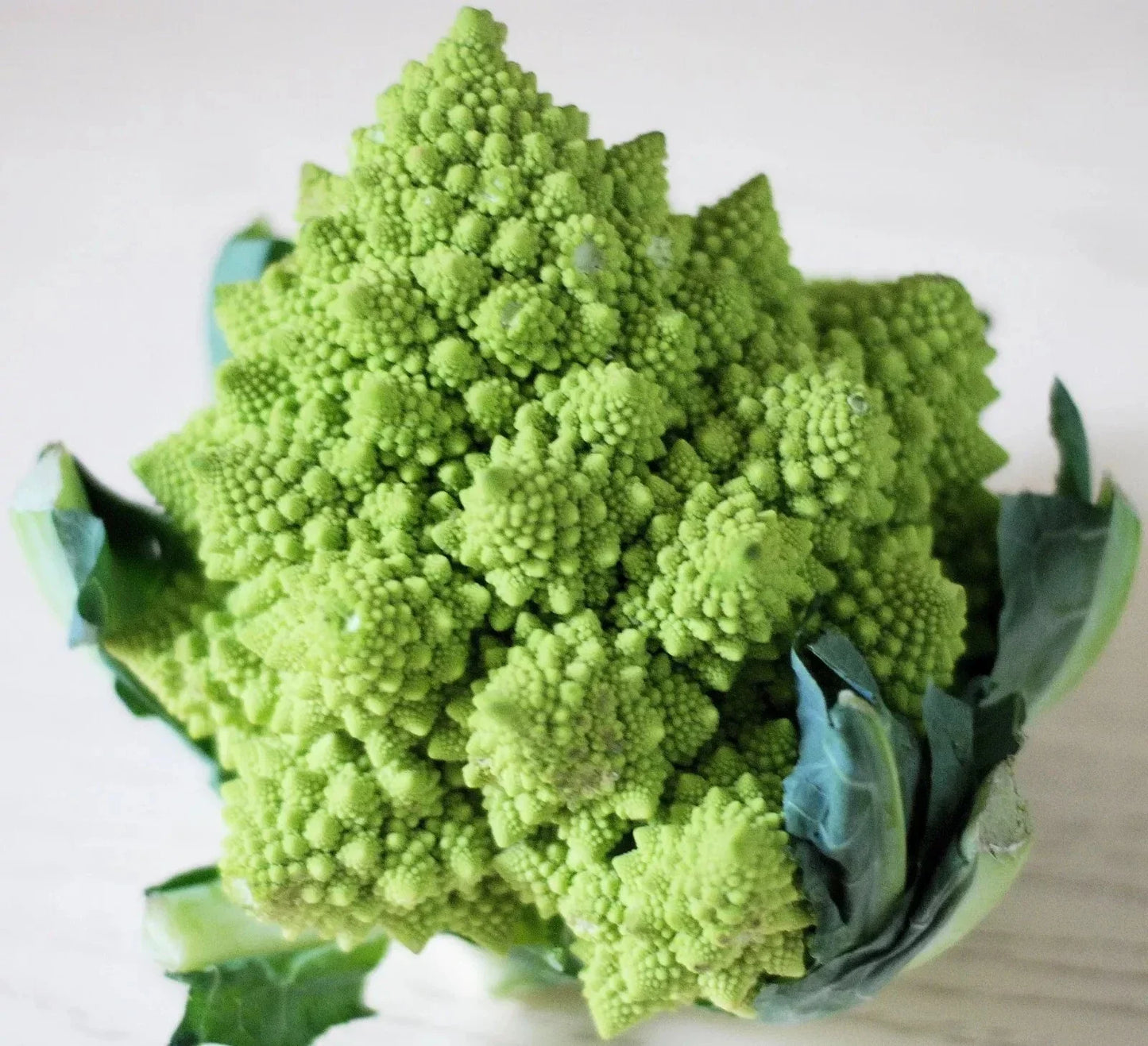 Romanesco Broccoli Seeds - 1000+ Non-GMO Heirloom Organic Seeds for Gardening