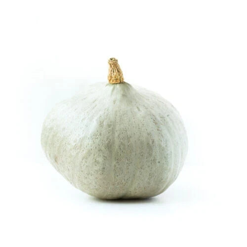 Blue Ballet Squash Seeds - Heirloom Cucurbita pepo Pack of 25+ for Garden Planting, Bountiful Harvest, Non-GMO, Full Sun, USA