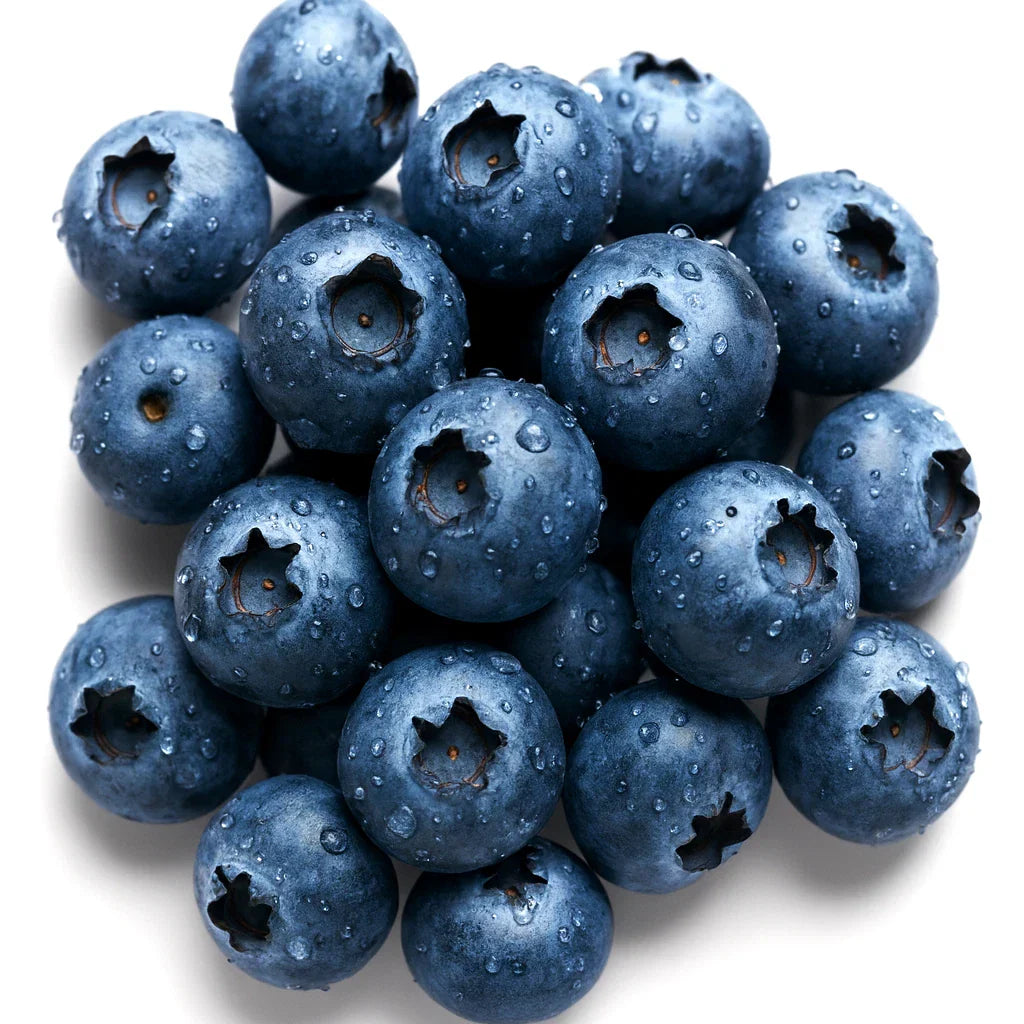 European Blueberry Seeds - 400+ Bilberry Autumn Low Bush - Vaccinium myrtillus