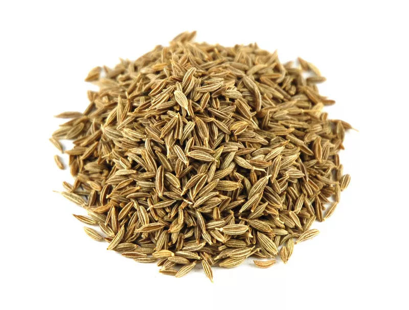 Cumin Herb Seeds - 500+ Fresh Cuminum cyminum Seeds for Culinary Garden, Spices & Home Growing