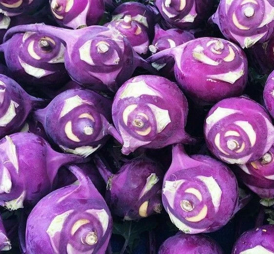Kohlrabi Seeds 300+ Purple Vienna | Brassica oleracea Vegetable Garden