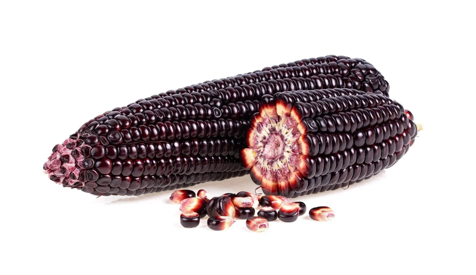 Purple Popcorn Seeds for Planting - 50 Zea mays Exotic Edible Corn for Garden, Popping, and Decorative Use