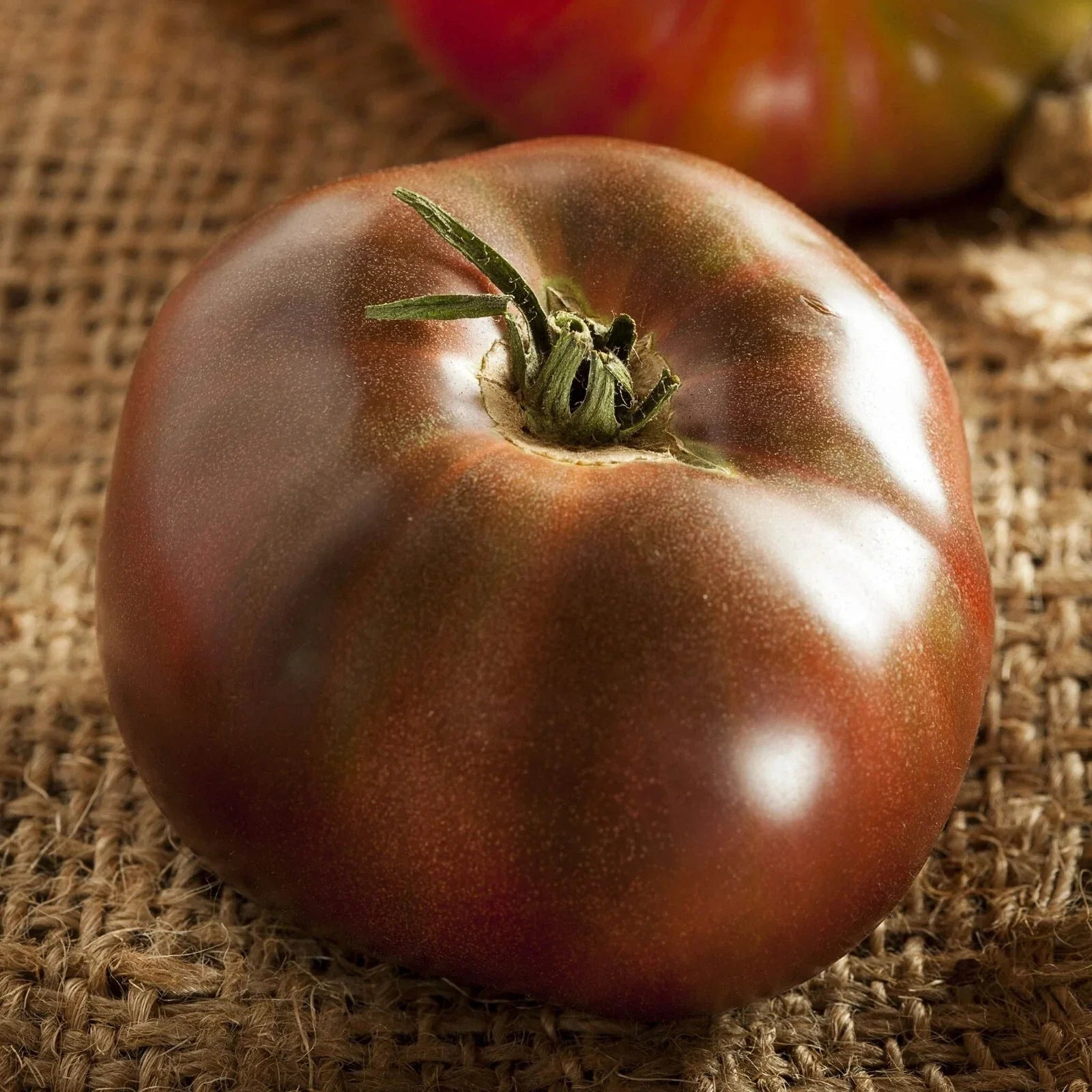 Heirloom Black Brandywine Tomato Seeds – Beefsteak, Potato Leaf, Indeterminate, 50 Seeds, Solanum lycopersicum