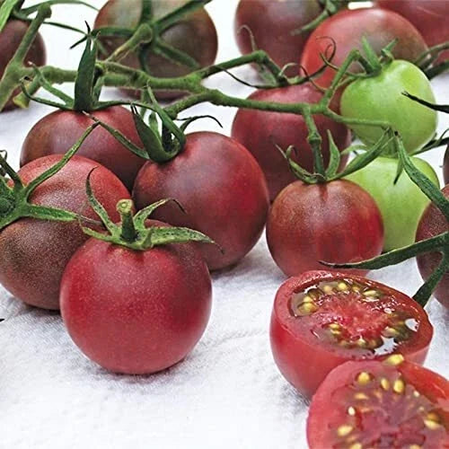 Chocolate Cherry Tomato Seeds - Non-GMO Heirloom Solanum lycopersicum, Compact, Sweet, Edible Fruit, 40+ Seeds