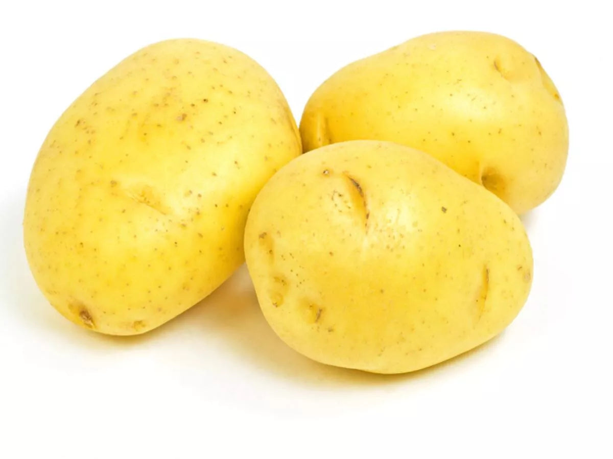Yukon Gold Seed Potatoes - 3 lb Starter Pack, Yellow Skin, Creamy Flesh, Early Variety, Solanum tuberosum