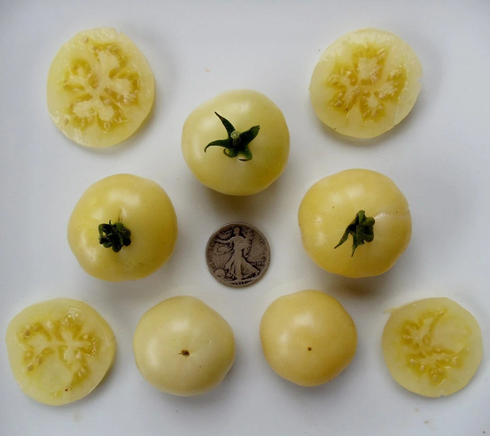 Super Snow White Vegetable Seeds - Non-Acidic, Very Sweet, 25 Seeds for Home Garden, Fresh Eating & Cooking