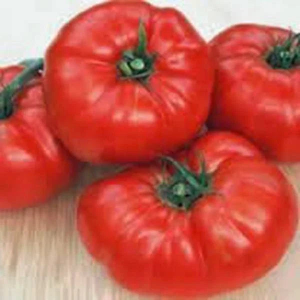 Beefsteak Tomato Seeds, 500 Non-GMO Heirloom Vegetable Seeds, Solanum lycopersicum, Large, Juicy, Perfect for Garden & Container