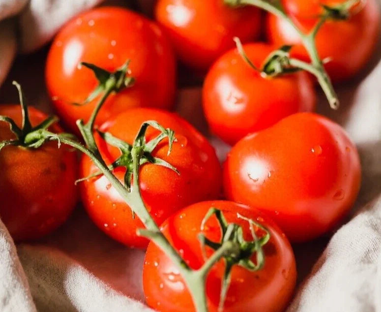 Sweet Campari Tomato Seeds - 25 Premium Solanum lycopersicum Seeds for Home Garden, Juicy, Flavorful, Easy to Grow