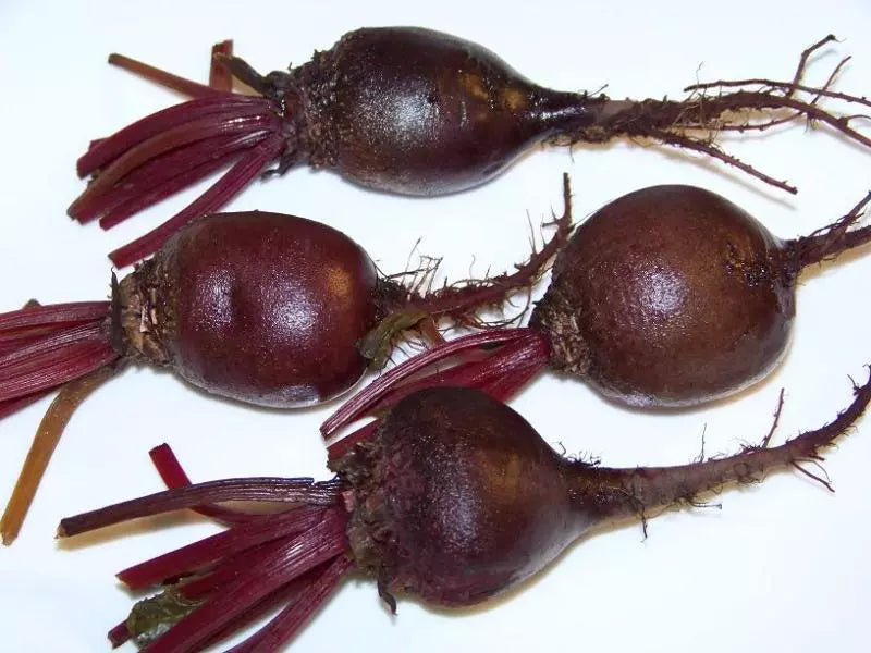 Detroit Dark Red Beet Seeds - 163 Count - Beta vulgaris - GroCo USA