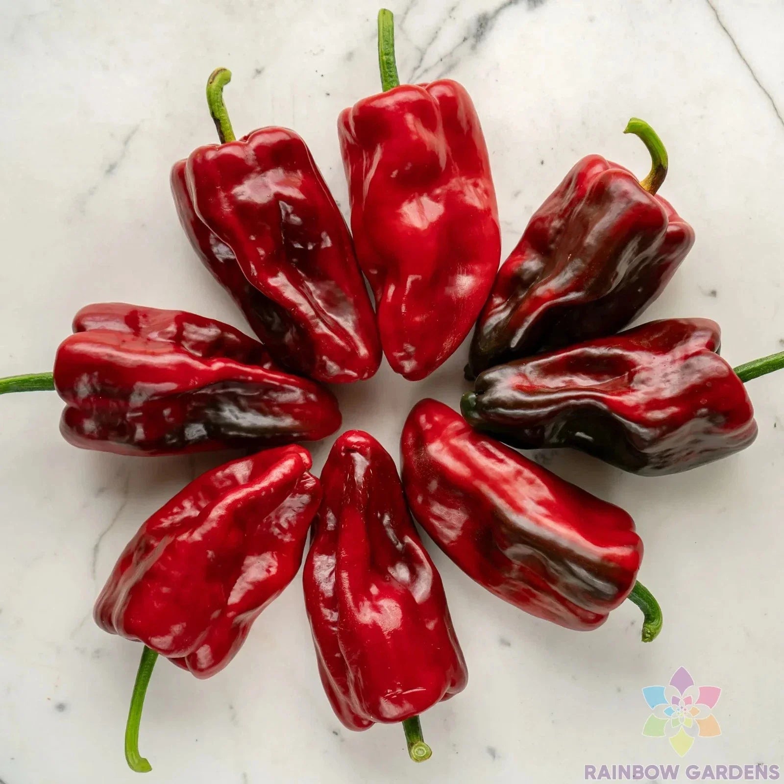 Poblano Sweet Pepper Seeds - 25+ Count Heirloom Capsicum annuum for Home Garden, Container Growing, Mild Flavor, USA Grown